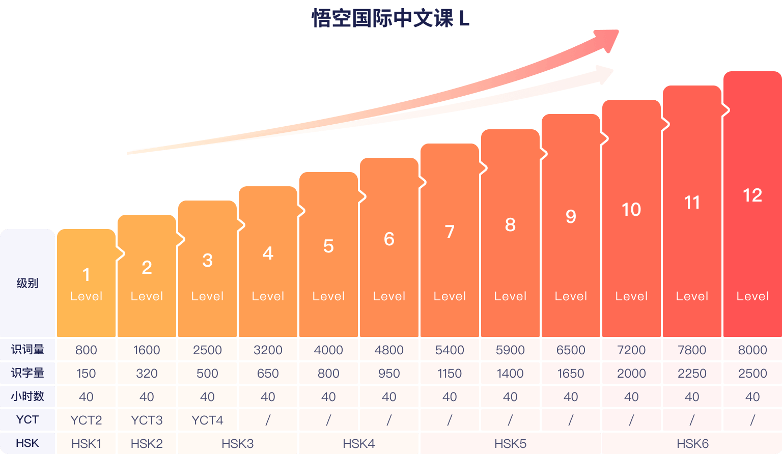悟空中文-核心课程体系